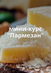 Ольга Лазарева СырДоДыр Пармезан 2025