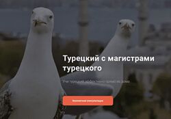 Lingua Turca Фонетический курс для начинающих уровень А1 2024