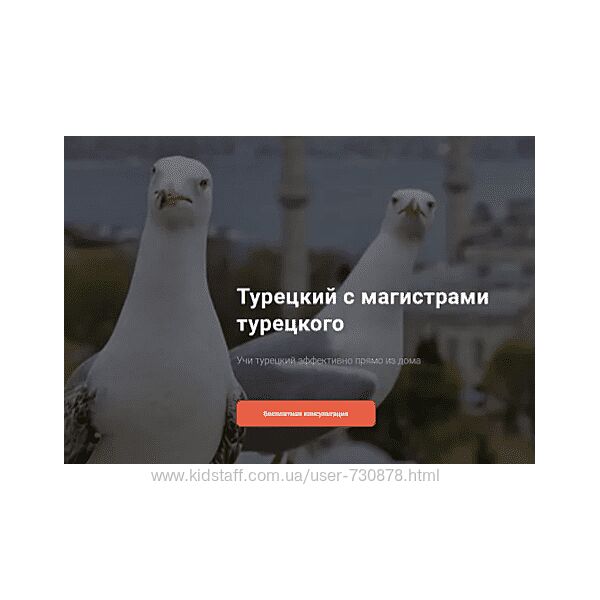 Lingua Turca Фонетический курс для начинающих уровень А1 2024
