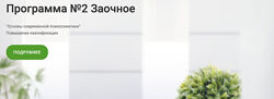 Виталина Чибис Основы современной психосоматики. 1-2 триместр ИППЧП 2024