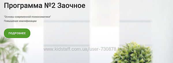 Виталина Чибис Основы современной психосоматики. 1-2 триместр ИППЧП 2024
