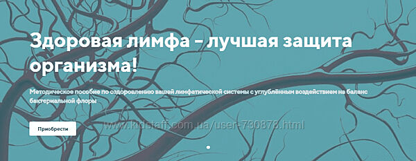Светлана Калмыкова Здоровая лимфа лучшая защита организма 2023