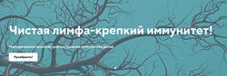 Светлана Калмыкова Чистая лимфа крепкий иммунитет. Тариф Информативный 