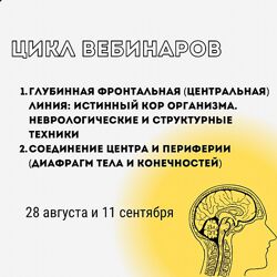 Александр Волоткевич Глубинная фронтальная линия истинный КОР организма