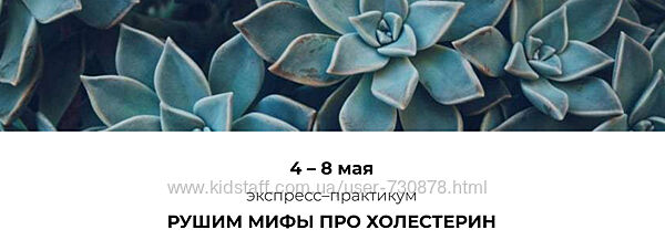 Венера Хабирова Рушим мифы про холестерин 2025