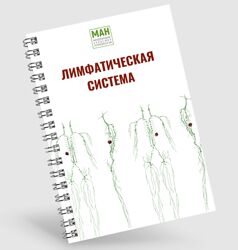 Международная Академия Нутрициологии Гайд по работе с лимфой 2024