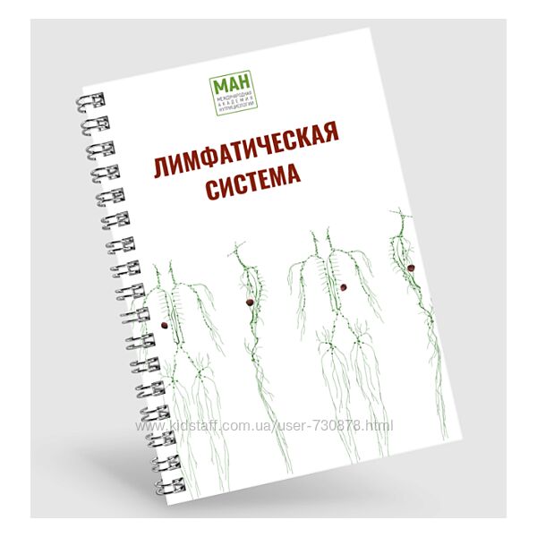 Международная Академия Нутрициологии Гайд по работе с лимфой 2024