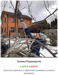 Кристианна Виниченко Основы плодоводства 2020