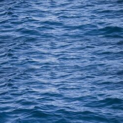 Атлантида Видеозаписи Золотое. Ритуал Воды. 2019