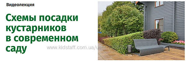 Наталья Мягкова Схемы посадки кустарников в современном саду 2025