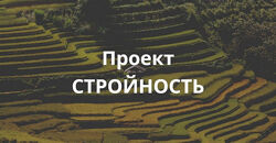 Елена Суханова Проект Стройность. Тариф Эконом 2025