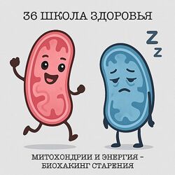 Галина Гарбузова Митохондрии и энергия биохакинг старения. 36 поток