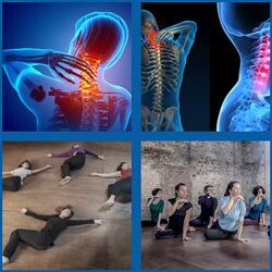 Елена Волкова Свободное движение шеи и головы. 9 уроков по методу