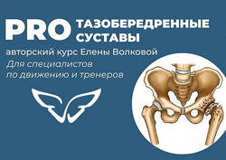 Елена Волкова Про ТБС. Здоровые и гибкие тазобедренные суставы 