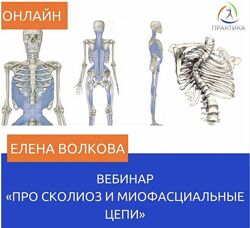 Елена Волкова ПРО сколиоз и миофасциальные цепи 2020