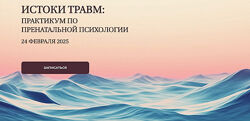 Елена Журек Истоки травм практикум по пренатальной психологии 