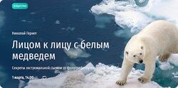 Николай Гернет Лицом к лицу с белым медведем. Секреты экстремальной съемки 