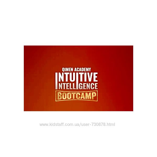 Айверсон Ли Тренинг Ци Мэнь интуитивный интеллект 2025