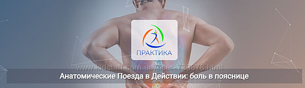 Анна Щербина Анатомические поезда в действии боль в пояснице 2025