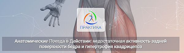 Анна Щербина Анатомические поезда в действии недостаточная активность 