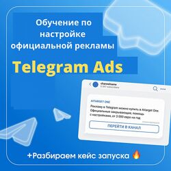Денис Смирнов Обучение Telegram ads. БС 2025