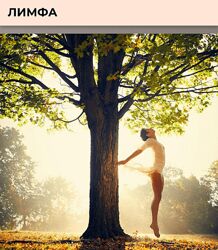 Виктория Орлинская Лимфа. Тариф Расширенный 2025