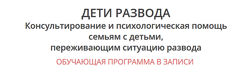 Ирина Камаева Дети развода 2022