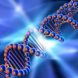 genetics4u Биохимия мужского здоровья 2025