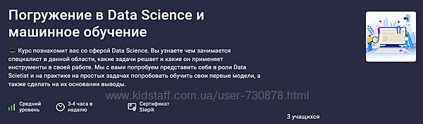 Максим Дуплей Погружение в Data Science и машинное обучение 2024