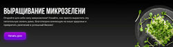 Александр Шишов Выращивание микрозелени 2025