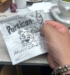 Роман Шалимов Partisan 2025