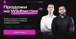 Максим Плугарь, Виталий Миранюк Продажи на Wildberries. Тариф Менеджер 2024