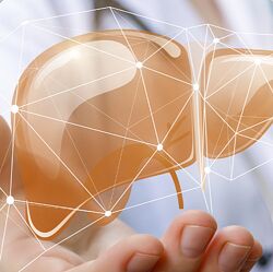 Валерий Подрубаев Печень забита жиром как остановить тихого убийцу 2025