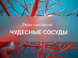 Питер Ван Кервель Краниосакральная академия Чудесные сосуды 2025