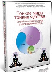 Вячеслав Губанов Тонкие миры тонкие чувства. Устройство тонких планов 