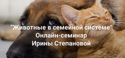 Ирина Степанова Институт Открытого поля Животные в семейной системе 2025