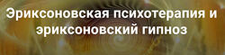 Владимир Доморацкий Эриксоновская психотерапия и эриксоновский гипноз 3 Мод