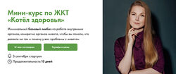 Екатерина Берлин Мини-курс по ЖКТ Котёл здоровья Тариф Без обратной связи