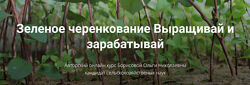 Ольга Борисова Зеленое черенкование. Выращивай и зарабатывай 2025
