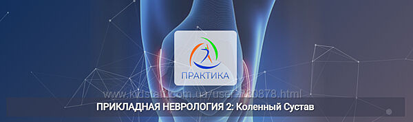 Мария Недре Прикладная неврология 2 Коленный сустав 2025