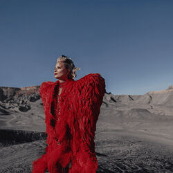 Тата Феодориди Интеграция Теней для разных типов мышления 2022