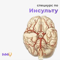 Спецкурс по инсульту Medforyou - школа медицины
