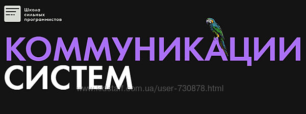Фёдор Борщёв Антон Давыдов Коммуникации систем 2025