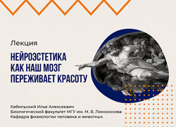 Илья Кабиольский Нейроэстетика, или как наш мозг переживает красоту 2025