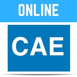 Paul Newson CAE Certificate in Advanced English C1 whole course 2020