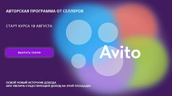 Павел Ларин, Алина Рязанова Освой Авито. Тариф Профи. Август 2025