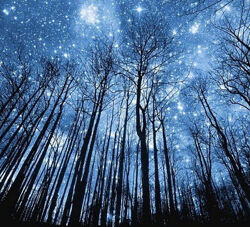 Анна Староминская, Константин Дараган Астрология налегке сентябрь-октябрь