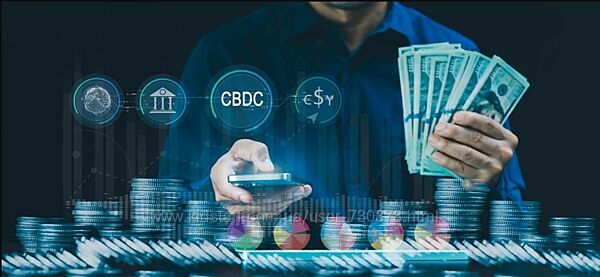 Александр Палиенко, Николь Кустовская Финансы