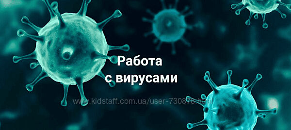 Никита Истомин Работа с вирусами. Новый взгляд на простуду и иммунитет 