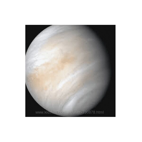 Александр Драгнев Фабула Венера 2025